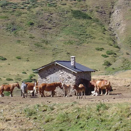 酒店 拉索拉纳德巴比亚乡村民宿