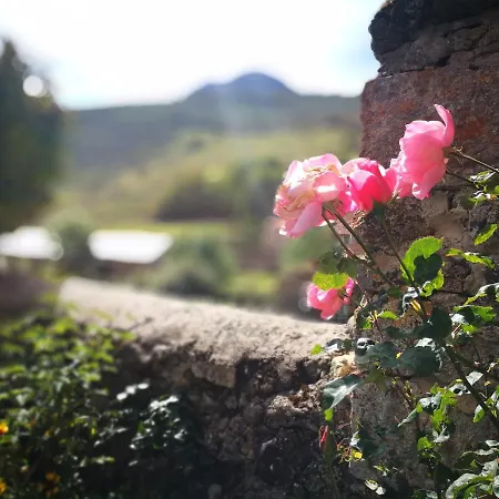 酒店 拉索拉纳德巴比亚乡村民宿