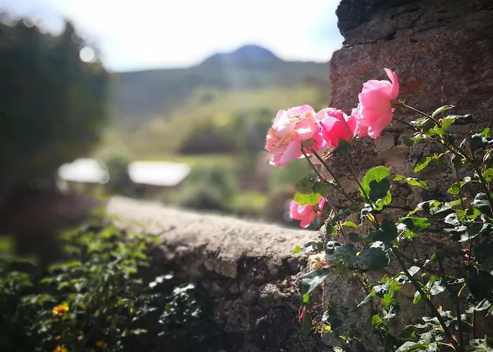 Ξενοδοχείο La Solana De Babia